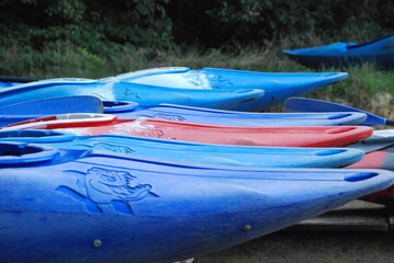 canoes 