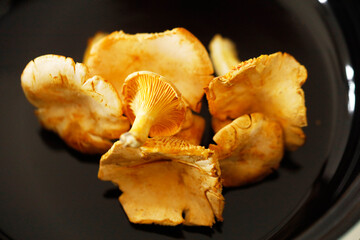 Pfifferlinge, Chanterelle Mushrooms on a table