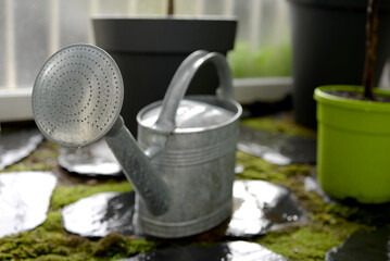 arrosoir jardin intérieur © Anthony SEJOURNE