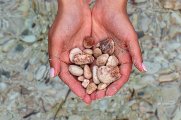 hands of young woman picking up small stones taken from the bottom of the sea on the island of palma de mallorca in spain