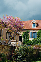 Une ancienne maison bourgeoise avec un arbre en fleur dans la cour et un ciel orageux. Une vieille maison française avec un arbre au printemps et un orage.