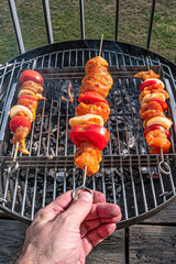 Cover page with grilled delicious shashlik with tomato and onion in outdoor at home terrasse and...