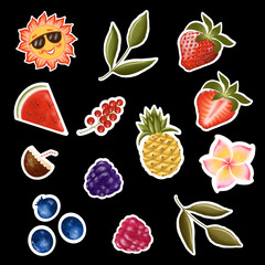 fulcolor summer fruits and berries and leaves sticker pack