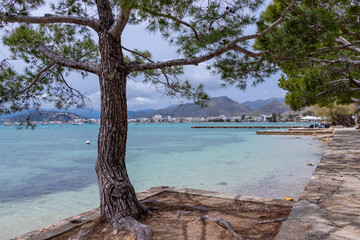Fototapeta na wymiar Alcanada beach, in the town of Alcúdia on the island of Palma de Mallorca, Spain