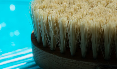Macro photo of cactus fiber brush. Spa beauty concept.Tetsetka for dry body massage. Macro photo of a brush for anti-cellulite body massage. The brush is on a blue background. 