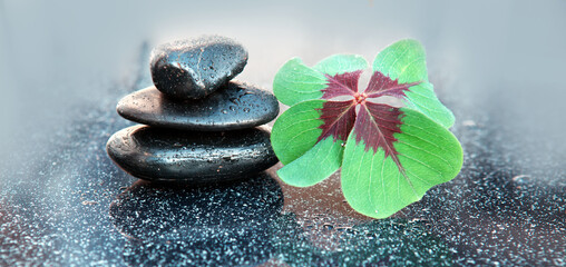 Black spa stones and four leaf clover . Spa background.