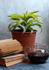 Simple composition still life with an old open book on grey texture background. Retro styled still life. 