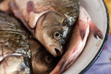 Silver crucians in a plate, cleaned and ready to be cooked