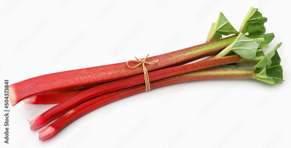 Canvas Prints fresh rhubarb