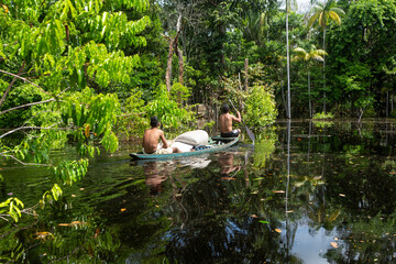 Beautiful view of Amazon rainforest trees and two man paddling a boat to collect acai berries in...