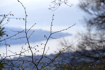 Defocused beautiful aerial view of Lake Zürich seen from local mountain Uetliberg with tree branches in the foreground on a sunny spring day. Photo taken April 14th, 2022, Zurich, Switzerland.