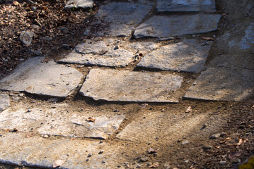 Mountain bike trail with rock surface at local mountain Uetliberg on a sunny spring day. Photo taken April 14th, 2022, Zurich, Switzerland.