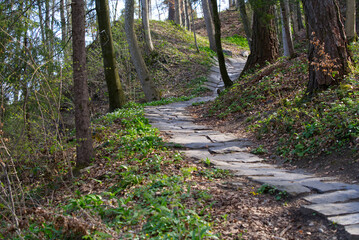 Mountain bike trail with rock surface at local mountain Uetliberg on a sunny spring day. Photo taken April 14th, 2022, Zurich, Switzerland.
