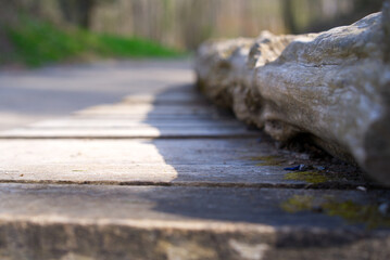 Mountain bike trail with wooden surface at local mountain Uetliberg on a sunny spring day. Photo taken April 14th, 2022, Zurich, Switzerland.