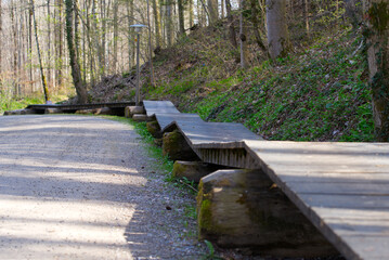 Mountain bike trail with wooden surface at local mountain Uetliberg on a sunny spring day. Photo taken April 14th, 2022, Zurich, Switzerland.