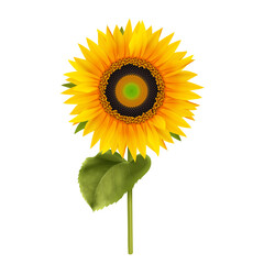 Sunflower Realistic Sign