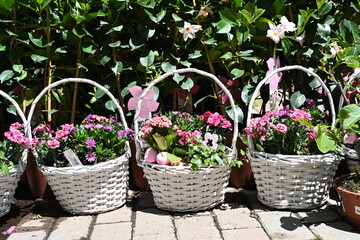 Flowers in three white baskets