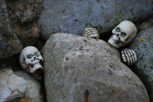 skulls in the rocks 