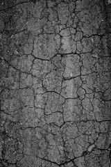 cracked soil texture