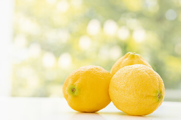 lemon on green background. Place for text