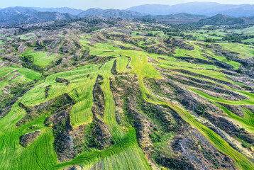 Fototapeta na wymiar Agricultural fields on uneven terrain of Troodos mountains, Cyprus