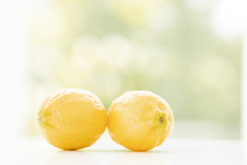 Composition with lemons isolated on nature green background.