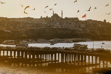 Istanbul landscape with bridges, ferries, mosques and birds in sunset sky.