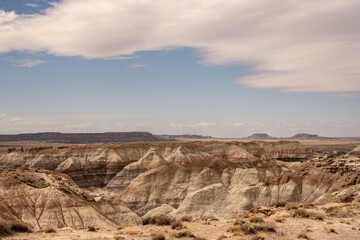 Fototapeta na wymiar Blue Mesa Badlands And The Canyon Through Them