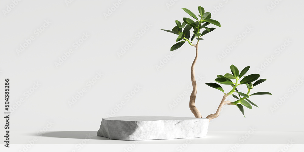 Poster stone product display podium with nature leaves on white background. 3d rendering