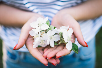 Woman holding spring flowers in her hands. Spring flowers. Abstract blurred background. Springtime.