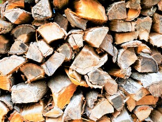 firewood