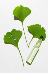 fresh ginkgo biloba leaves with ampoule bottle on white background.