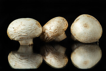 Mushrooms champignons on a black mirror surface isolated on black background