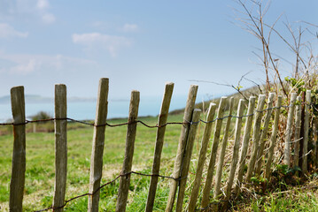 Fototapeta premium Clôture en bois
