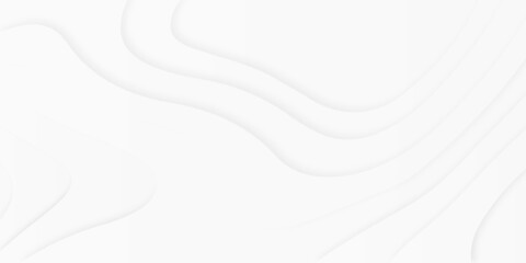 Luxury paper cut background, Abstract decoration, white pattern, halftone gradients, 3d illustration, topographic canyon map light relief texture, curved layers and shadow.