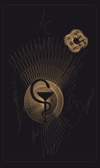 Tarot card back design, back side. Snake and Bowl. Bowl of Hygieia symbol of pharmacy