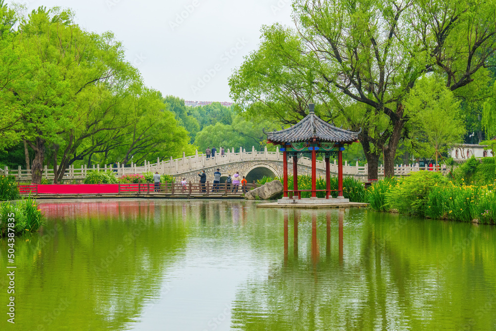 Wall mural Park pavilion green tree lake water landscape