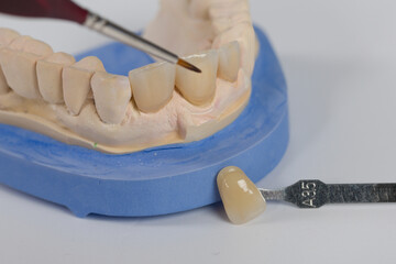 Close-up of painting work at artificial dentition with a paintbrush and a shade guide in a dental...