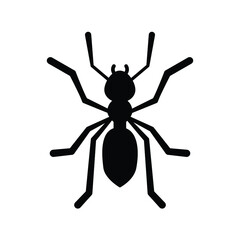 ant simple, black on white background, vector illustration 