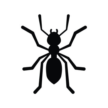 ant simple, black on white background, vector illustration 