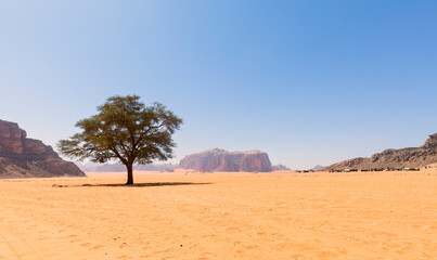 Wadi Rum in southern Jordan. It is located about 60 km to the east of Aqaba. Wadi Rum has led to...