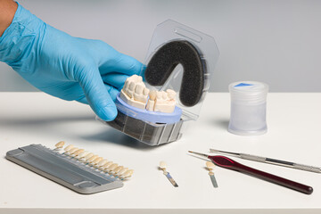 close up of handling a ready for use at artificial dentition after final work in dental laboratory
