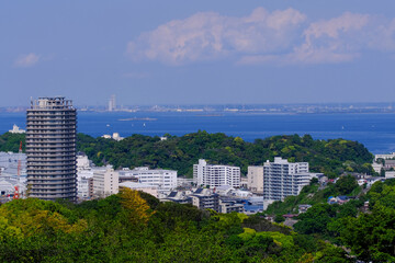 新緑の横須賀市街地と東京湾