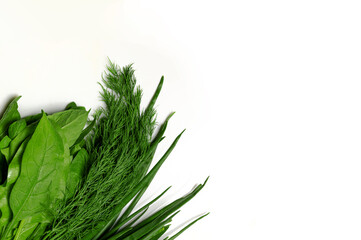 Delivery or purchase of health food products. Green food, vegetables, fruits, herbs