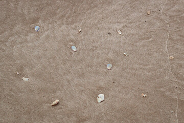Some shells