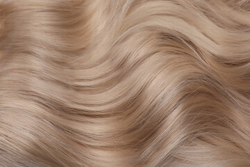 Obraz premium Beautiful blonde hair as background, top view