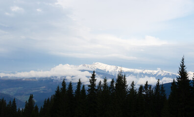 Fog under a high mountain. Concept silhouette landscape photo. Horizontal orientation.