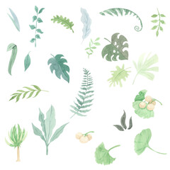 Watercolor green leaves illustration for kids