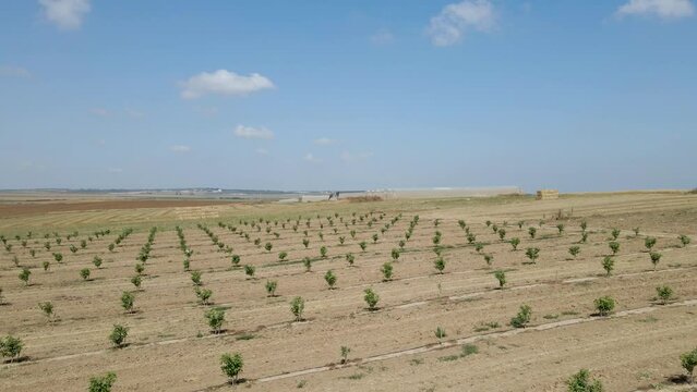 Yachini Village Fields At Israeli Southern Settlements Sdot negev