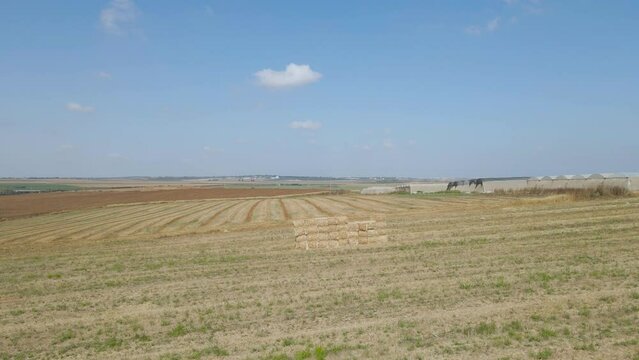 Yachini Village Fields At Israeli Southern Settlements Sdot negev